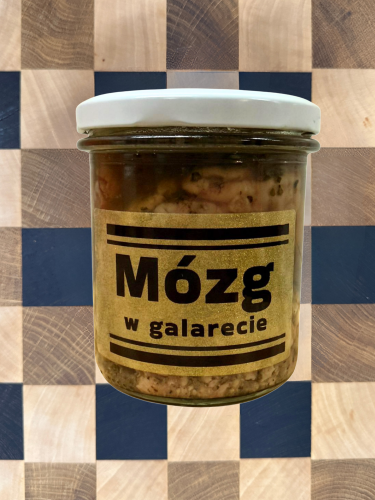 mózg w galarecie.png