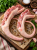 Ogony solone 1100 g.png