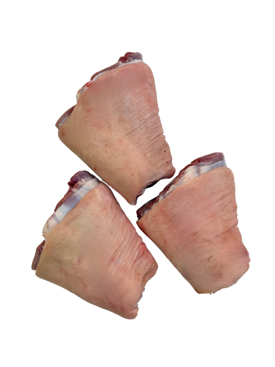 Golonka przednia.png