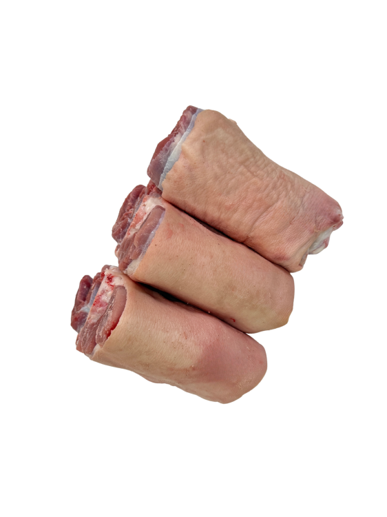 Golonka przednia1.png