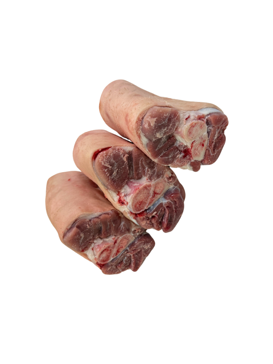 Golonka przednia2.png