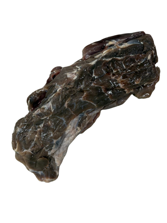 karkóka z muflona.png