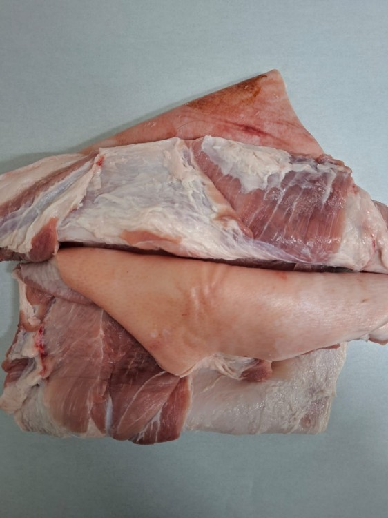 WhatsApp Image 2026-03-12 at 11.46.48.jpeg