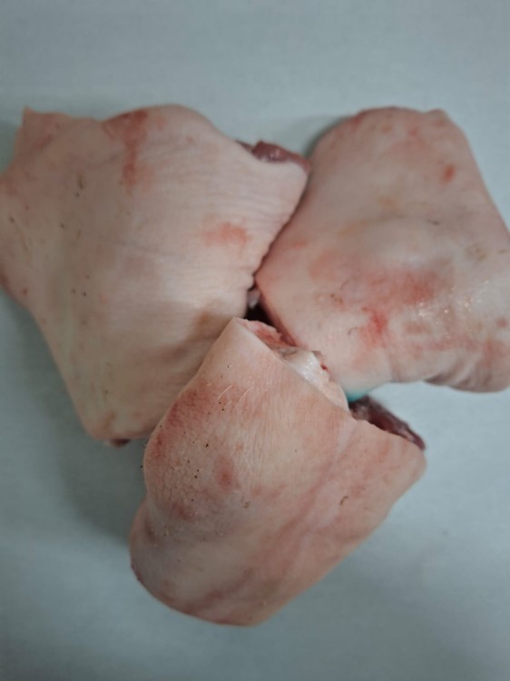 WhatsApp Image 2026-03-12 at 11.47.49.jpeg