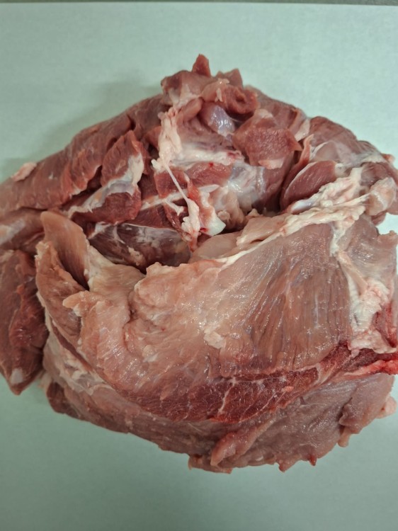 WhatsApp Image 2026-03-12 at 11.48.50.jpeg