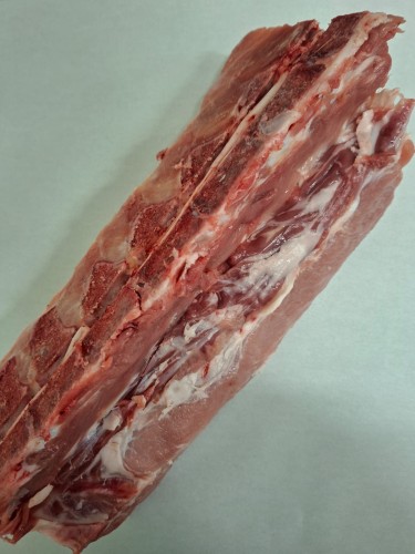 WhatsApp Image 2026-03-12 at 11.53.05.jpeg