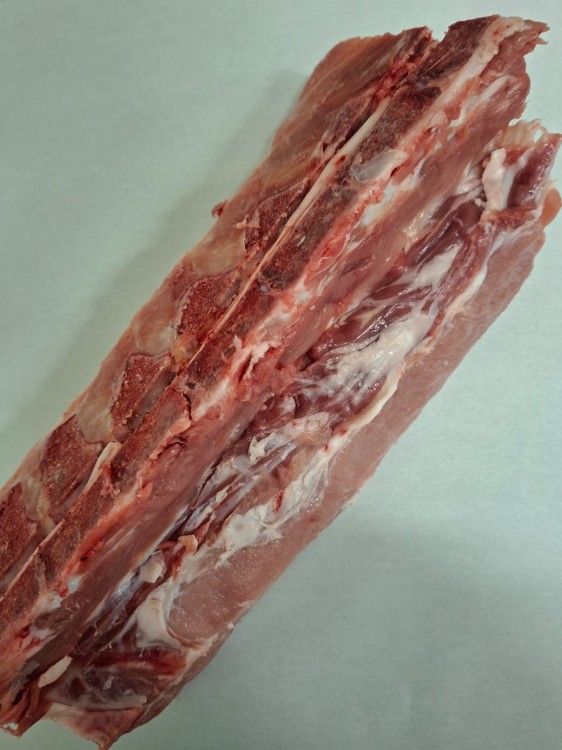 WhatsApp Image 2026-03-12 at 11.53.05.jpeg