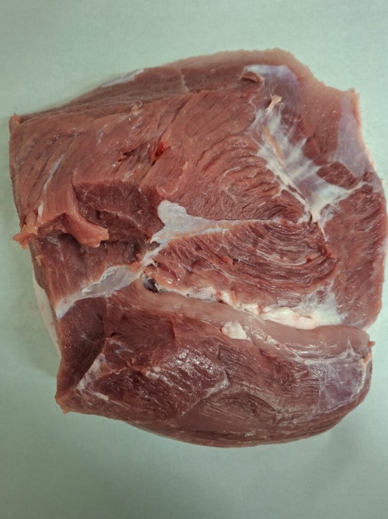 WhatsApp Image 2026-03-12 at 11.57.40.jpeg