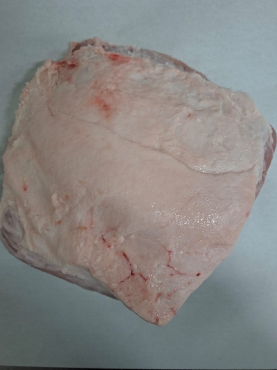 WhatsApp Image 2026-03-12 at 11.57.40.jpeg