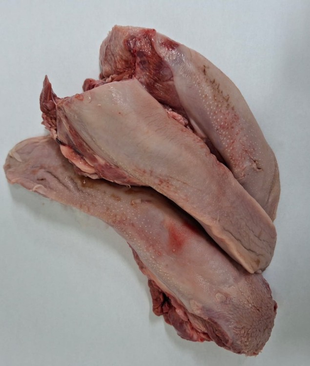 WhatsApp Image 2026-03-18 at 07.37.23.jpeg